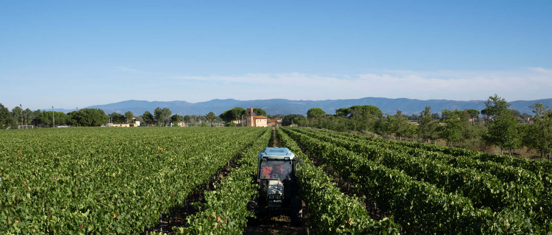 3L Gold Jeroboam Wine Australia